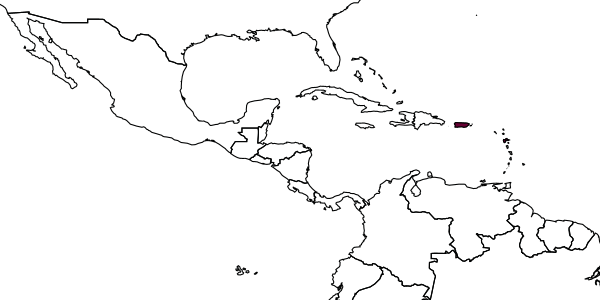 map of Apanteles coffeellae     Muesebeck, 1958